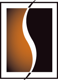 Southwest Iron Works vertical favicon logo with white “S” over orange and black gradient background.